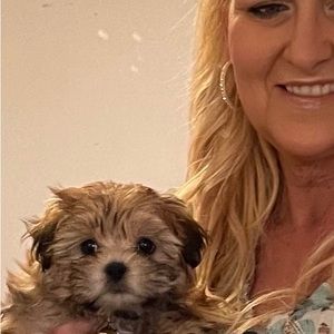 Meet your Posher, Rose